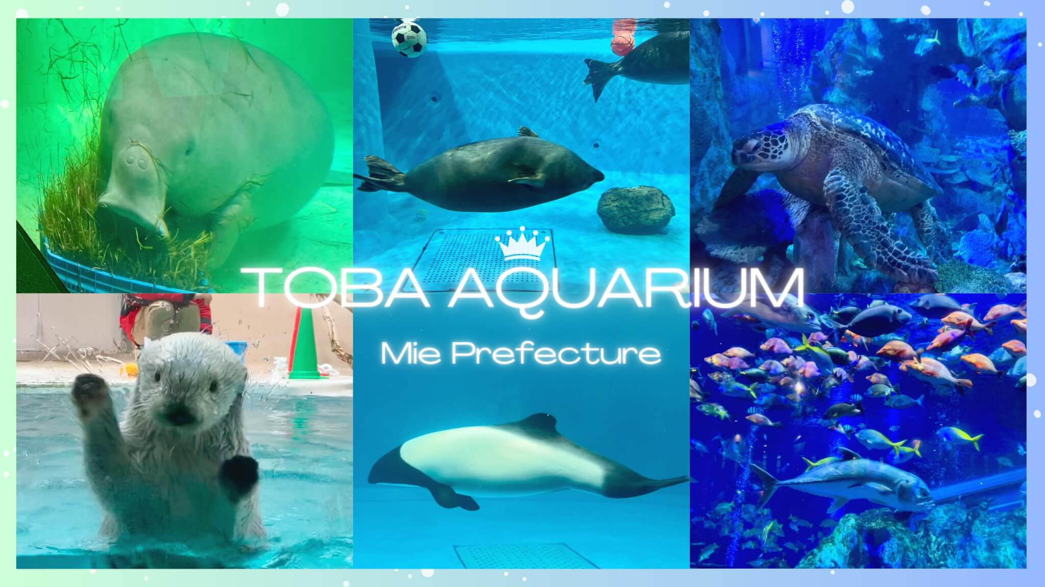 伊勢旅行記】ラッコやジュゴンに会える鳥羽水族館｜チケットの購入方法  