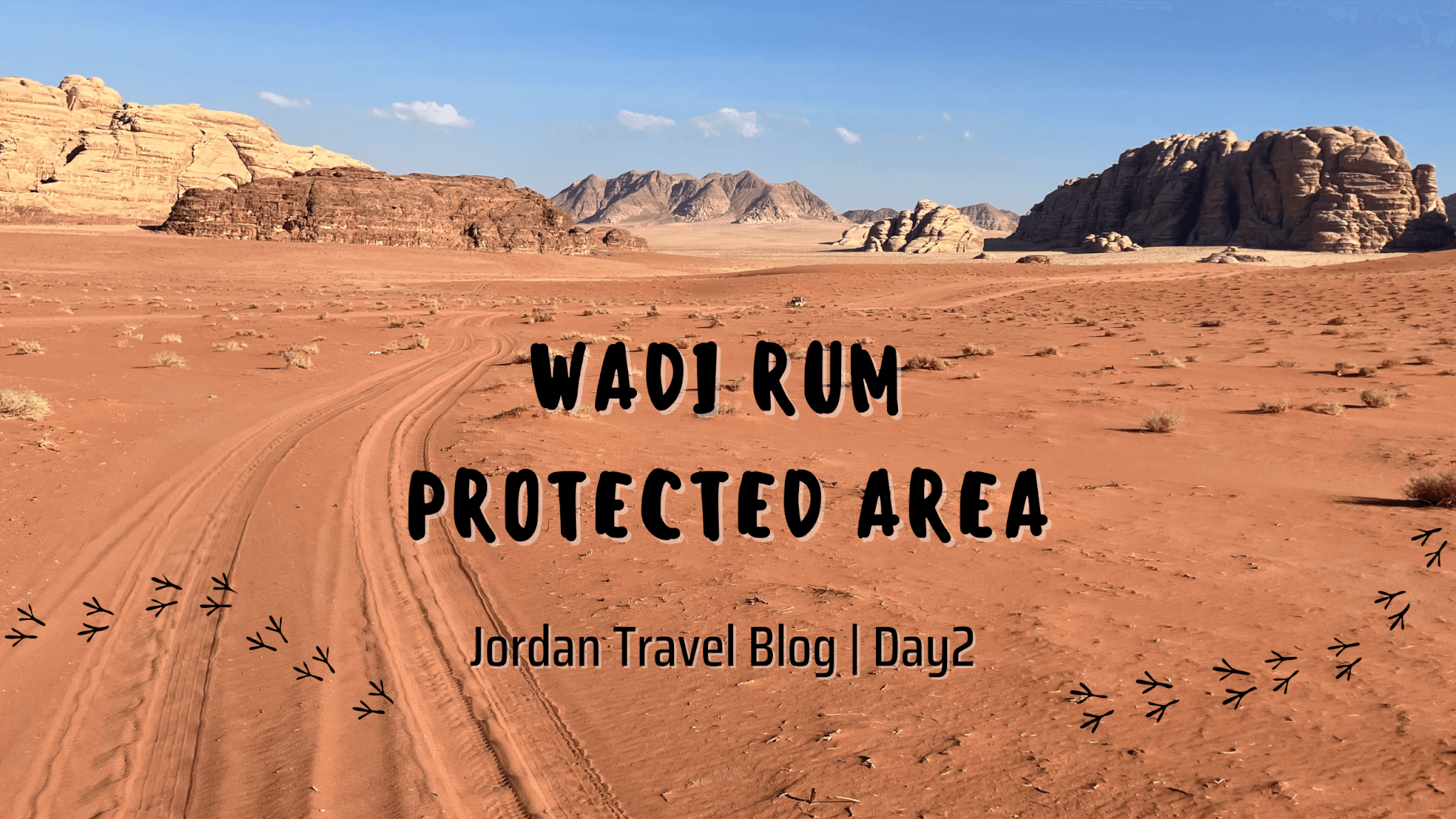 ヨルダン】ワディラム②砂漠1日ツアー｜料金＆内容を詳しく解説